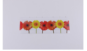 <strong>Indoor</strong> Flower Window Transparent Fruit <strong>Fly</strong> Trap <strong>Catcher</strong> - Product Image 3