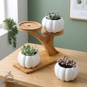 Macetas con Soporte de Bambú, Modernas Macetas de Escritorio para Plantas Verdes - Product Image 2