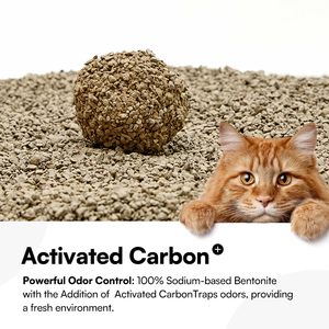 Arena para Gatos Ecológica de Bentonita, Precio de Fábrica, Aglutinación Rápida, Sin Polvo, Altamente Absorbente, 10L - Product Image 2