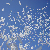 Blanc Colombe Hélium Feuille Ballon Paix Pigeon Feuille Ballon Décoration De Fête De Mariage