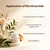Pasokan Pabrik 99% Niacinamide Vitamin B3 Bubuk Niacinamide Vitamin B3e Bubuk untuk Perawatan Kulit