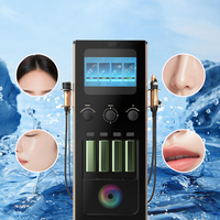Appareil facial professionnel 4 en 1 Hydra H2o2 Oxygène, machine portable pour resserrer la peau, microdermabrasion