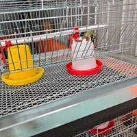 Cage à batterie à 3/4 niveaux, capacité de type H, galvanisée à chaud, élevage avicole, cage à poulets pour petits poussins, cage à poulets bébés