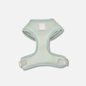 Harnais pour chien en nylon rembourré respirant <span class=keywords><strong>personnalisé</strong></span> avec logo de luxe, facile à ajuster, pour promener 2 chiens, sans traction, italien - Product Image 1