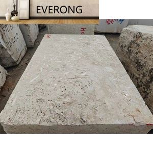 Natural blanco Beige mar Coralstone agujeros sin relleno crema Beige Coral travertino <span class=keywords><strong>Coralina</strong></span> piedra losa azulejo pared Panel ladrillo - Product Image 4