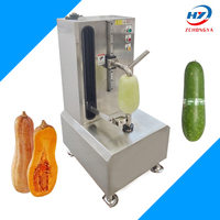 Winterkalebas & Meloen Schilmachine Fruit & Groente Watermeloen Dunschiller Efficiënte Fruit-En Groenteschilmachine