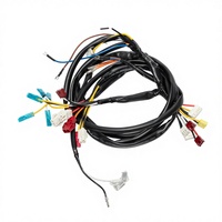 Harness Kabel Multi-Konektor Kustom, Kabel Tembaga Tugas Berat dengan Berbagai Terminal Konektor untuk Sistem Kelistrikan