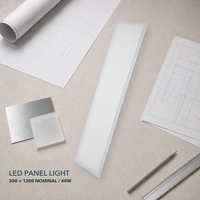 Panneau lumineux LED 300x1200 40W pour spécifications de projets commerciaux