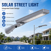 Farola LED Solar DC con Certificación IP66, CCC, CE y RoHS, Batería Lifepo4, Aluminio, Garantía de 5 Años, Montaje en Pared para Carreteras, Regulable, 120