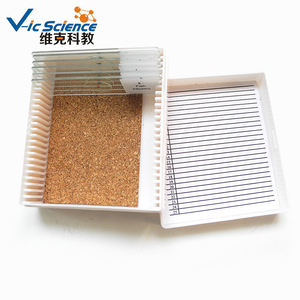 Suministro directo de fábrica de secciones de líquenes, secciones biológicas de hongos y algas, y portapreparaciones microscópicos para observación. - Product Image 3