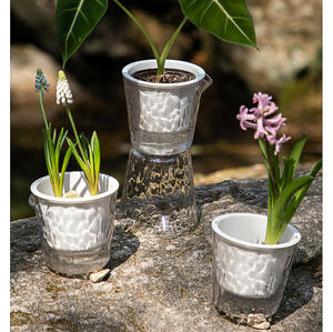 Pot succulent transparent <span class=keywords><strong>sans</strong></span> <span class=keywords><strong>eau</strong></span> en plastique de bureau de balcon de bassin auto-amorçant hydroponique pour des plantes - Product Image 4