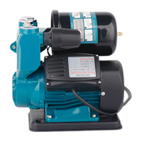 LOONA Home Pompe automatique de surpression d'eau auto-amorçante avec fer à repasser WZB200A WZB300A