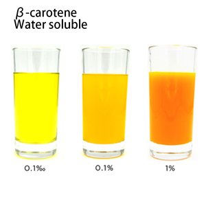 天然着色剤100% 天然ベータカロチン粉末ニンジンエキスベータカロチン原料 - Product Image 4