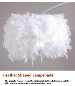 Lampadaire Plume de Fer Moderne LED E26 Ra80 1600 Lumens, Luminaire Vertical Designer à Intensité Variable Blanc Chaud pour Salon et Chambre - Product Image 6