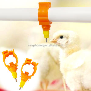 Bebedero Automático de Acero Inoxidable y Plástico YYW LM49 <span class=keywords><strong>para</strong></span> Pollos de Engorde, <span class=keywords><strong>Gallinas</strong></span> Ponedoras, Uso en Jaulas/Ala Libre - Product Image 6