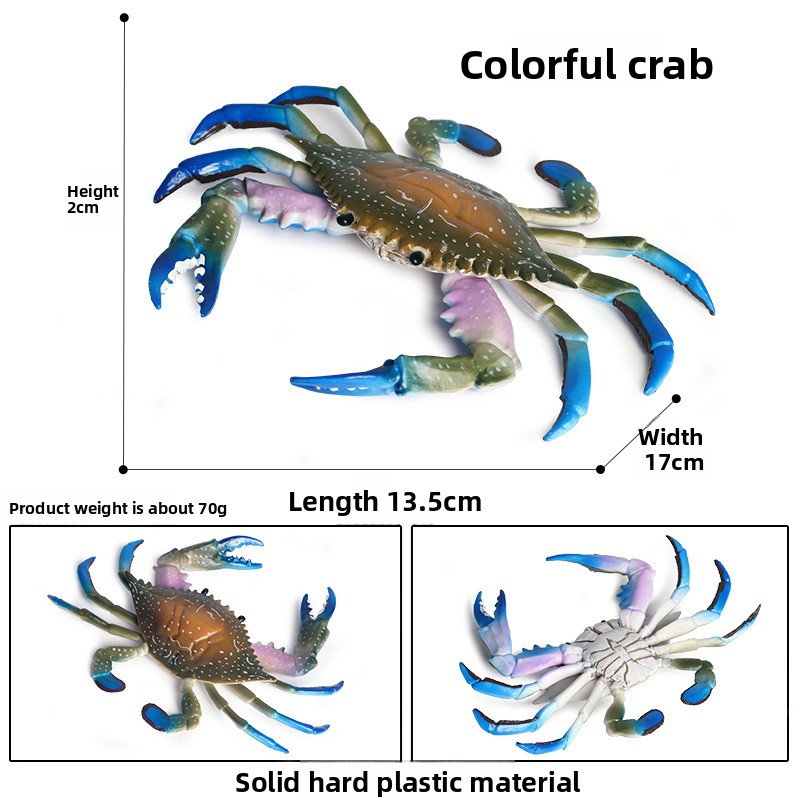 Crabe-4030