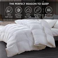 Couette de luxe 100 % coton taille Queen, 48 oz de garnissage, design à compartiments, blanche unie, en plumes d'oie et de canard, pour la maison