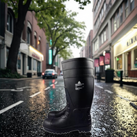 Chaussures de sécurité Delta Plus AMAZONE S5 SRA, bottes industrielles imperméables en PVC, utilisation été, hiver et automne