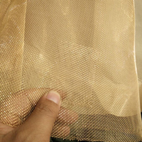 Maille décorative populaire de cuivre de grillage stratifié par verre de tissu de maille en métal de Moyen-Orient 30m