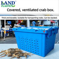 Conteneur à fruits de mer robuste, empilable, perforé, écologique, avec insert incliné, boîte de rangement en plastique respirant pour crabes et homards