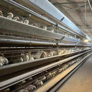 Cages en métal de couche d'oeufs à haute efficacité pour cage de poulet intérieure bon prix en parRistan