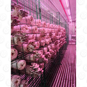 Contenedor de cultivo de setas automatizado con control inteligente y monitoreo interno - Product Image 2