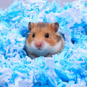 Hochwertige Komfortable Trockene Kleintier-Einstreu Papierbaumwolle Regenbogen-Papierbaumwollmatte mit Superabsorption - Product Image 3