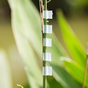 Pinces de greffage en silicone pour plantes de tomates, remplaçant les clips en plastique - Product Image 2