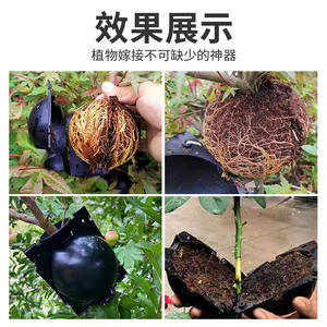 Bolas de Propagación de Plástico de Alta Presión Directas de Fábrica para Injerto de Árboles de Jardín, Herramientas para Bonsái, Incluye Cajas de Propagación por Corte - Product Image 3