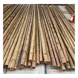 Cannes de bambou lisses et propres populaires pour la construction, la clôture, le jardinage, l'artisanat et les modèles d'échantillons 3D - Product Image 5
