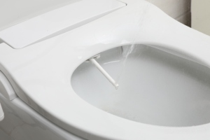 Опрыскиватель для унитаза - Product Image 4
