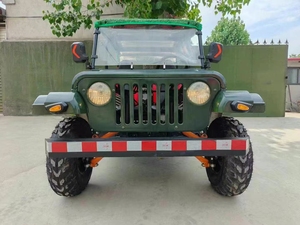 4 Seater Gas <b>Gasoline</b> Buggy 150cc 250cc 350cc 4 Wheeler Mini Petrol Buggy Jeep for Adults Kids - Product Image 1