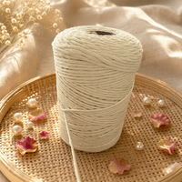 Cordon en macramé torsadé en coton naturel blanc, corde tressée faite à la main pour la décoration murale, le bricolage, les chaussures et le textile de maison - Vente en gros