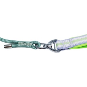 Collier de chien réglable à prix d'usine PUPE avec laisse-Ensemble de marche pour animaux de compagnie en nylon réfléchissant pour la vente en gros - Product Image 4