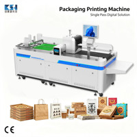 Impresora digital de inyección de tinta de cama plana CSJ-297FY de una sola pasada, nueva condición, cabezal de impresión automático para etiquetas de plástico y papel CMYK