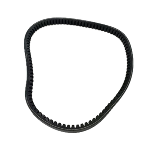 Correa de Ventilador CCEC NT855 178708 - Product Image 1