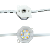 20 Pixels DC24V WS2805 RGBIC + CCT 5 Couleurs 30mm Hexagone Adressable LED Permanent Extérieur Maison Avant-toit Lumières 3Pin Blanc Fil IP68