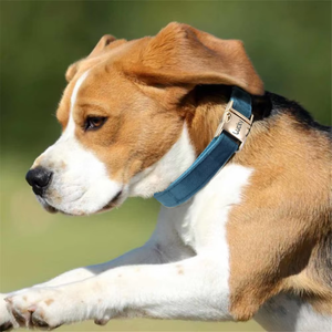 <span class=keywords><strong>Collar</strong></span> de Cuero Divertido para Mascotas OKSILICONE con Campana, Collares Ajustables para Gatos, Correas de Seguridad, <span class=keywords><strong>Collar</strong></span> para Perros y Gatos - Product Image 1