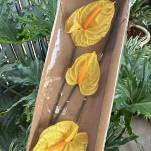 Zante 3 pièces à la main Anthurium préservé mariage fleurs séchées décoratives tendance fleur éternelle pour la saint-valentin <span class=keywords><strong>prix</strong></span> usine - Product Image 1