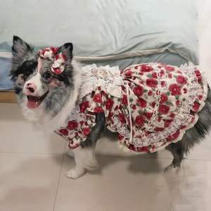 Vêtements pour animaux de compagnie de luxe OEM ODM, robe Lolita moderne pour chiens, été, printemps, hiver, XL, polyester, nouveaux vêtements pour chiots - Product Image 2