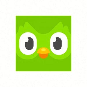 Cuenta Premium Duolingo Pro 1 Año, Activa Tu Propia Cuenta, Aplicable Globalmente en Todo el Mundo - Product Image 3