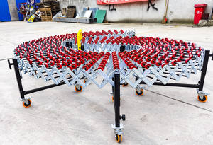 Trasportatore espandibile per il caricamento della ruota del pattino in acciaio/plastica - Product Image 2