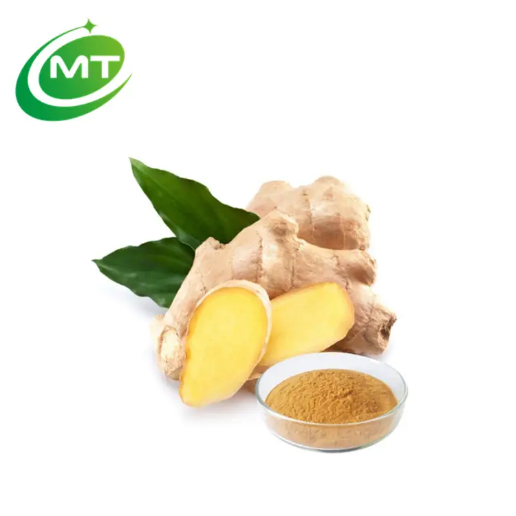 Haute qualité 100% Pure Nature Oragnic bonne saveur Offre Spéciale extrait de racine de gingembre en poudre saveur SW