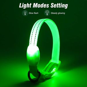 ปลอกคอสุนัขแบบคลาสสิกปรับได้ ไฟ LED ส่องสว่าง วัสดุไนลอนสะท้อนแสง ชาร์จไฟได้ ใช้กลางคืนได้ - Product Image 2