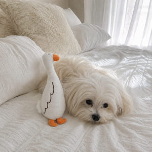 Funny Cartoon Pet <b>Plush</b> Play Toy Soft Comfort Stuffed Toy for Pet Daily Fun Bite Resistant Pet Entertainment Toy - Product Image 4