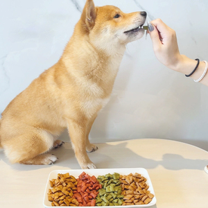 OEM ODM all'ingrosso sano <span class=keywords><strong>cane</strong></span> ad alto contenuto proteico tratta <span class=keywords><strong>biscotti</strong></span> croccanti verdi per cani e gatti nutrienti snack per animali domestici - Product Image 2