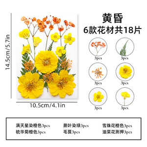 Timesrui Wholesale Dried <strong>Flowers</strong> Natural Pretty Pressed <strong>Flowers</strong> Preserved Plant for <strong>Making</strong> Jewelry Accessories and DIY <strong>Crafts</strong> - Product Image 4