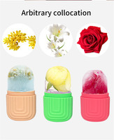 Outil de soin de la peau réutilisable beauté faciale Silicone visage moule à glace glaçon rouleau masseur pour visage yeux et cou