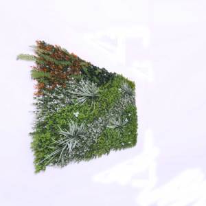 Paneles de flores de panel de hierba de pared verde artificial clásico de 1*1m en stock para decoración de interiores - Product Image 2