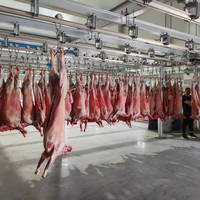 Machine automatique d'abattage de moutons et de chèvre avec le système de dissimulation et de pelage de peau